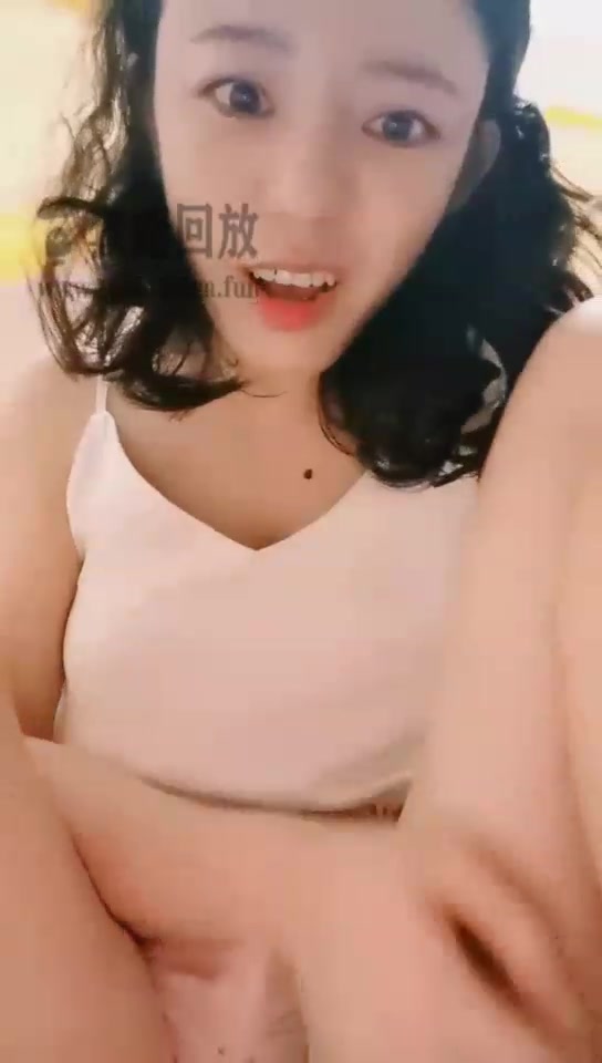 靈教官 网调 第一视角 红绿灯