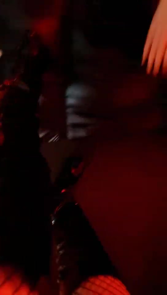 西冷女王 双主调狗