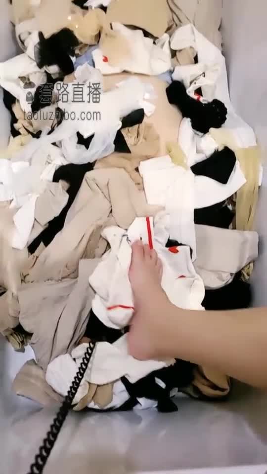 The dog buried in the pile of original socks