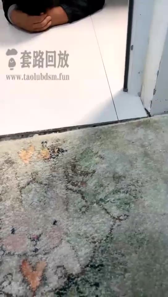 灵汐 狗儿子来喝妈妈的红金圣水
