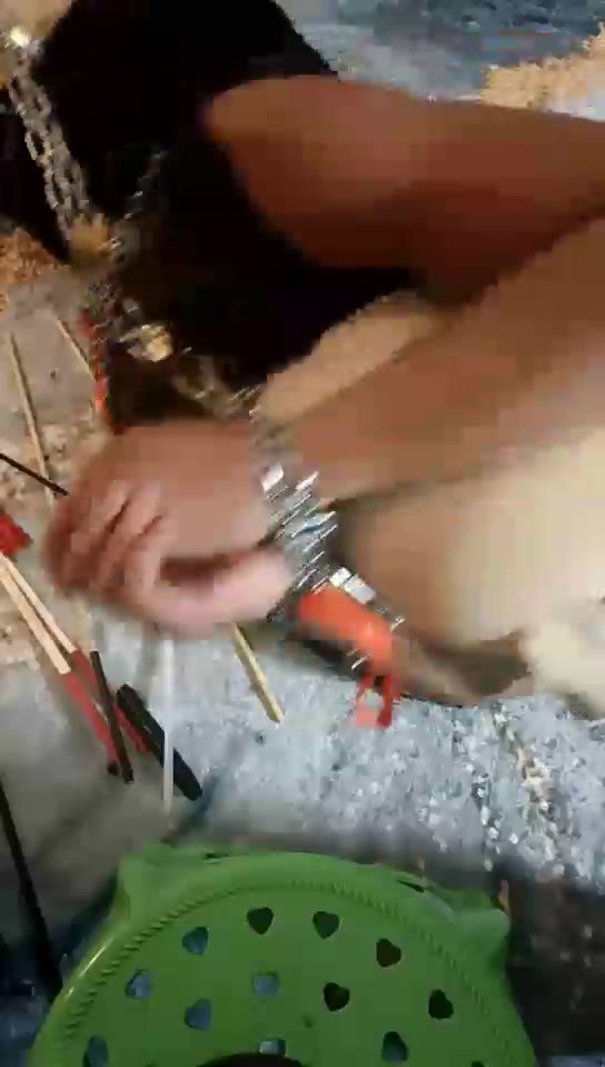 一一 重度鞭打 捆绑虐肛