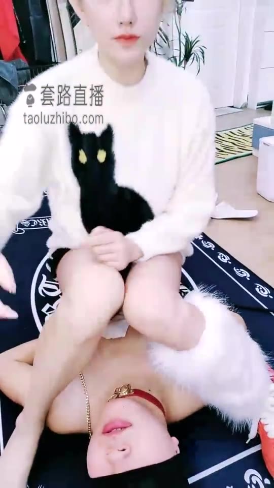 丝洛 小雏狗耳光挑战