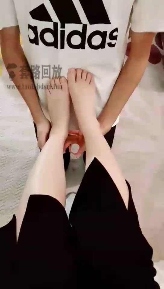 禾禾子 普通的狗子 普通的干活