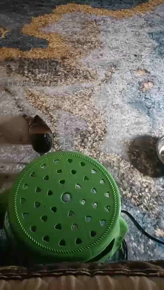 一一 丝袜玉足深喉