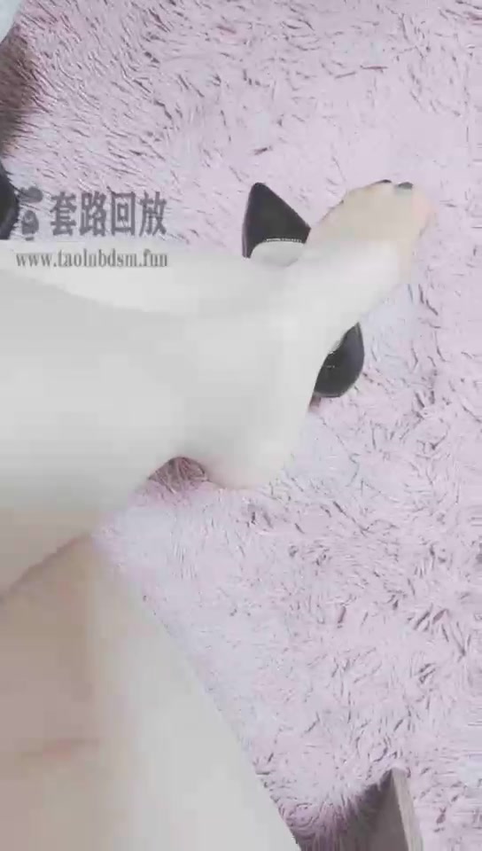 灵竹 高跟丝袜下的贱狗 舔得真香