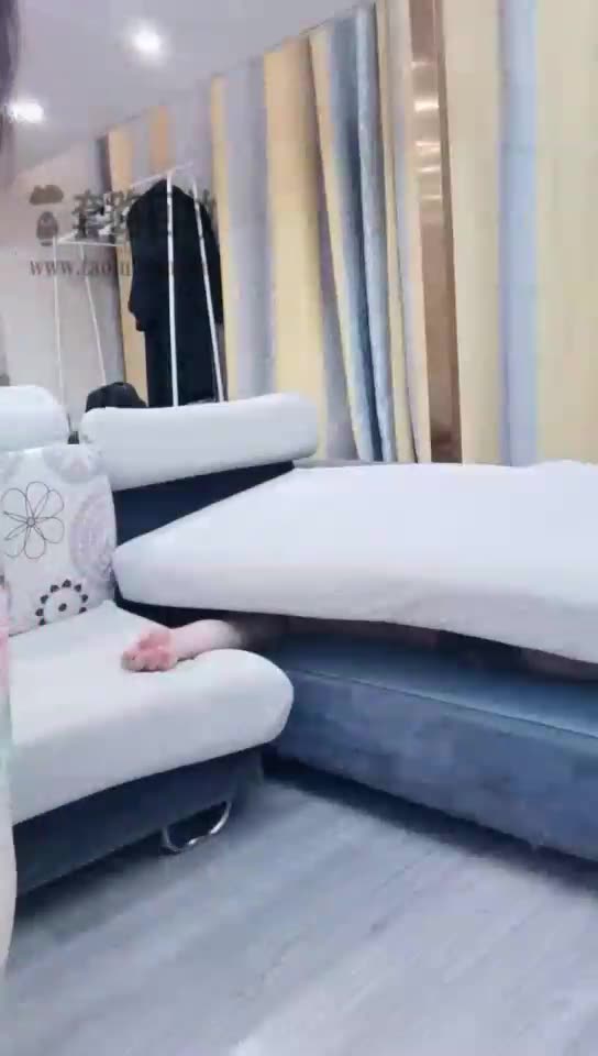 猫神大人 物化调教