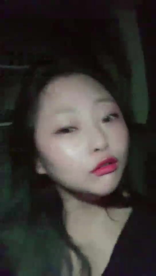 黛西 户外车内玩狗 一