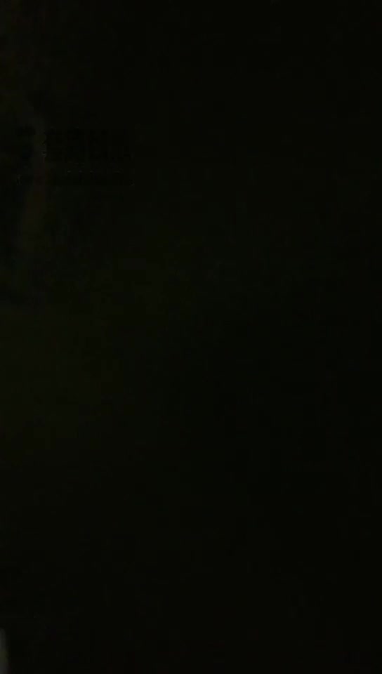 黛西 户外车内玩狗 二