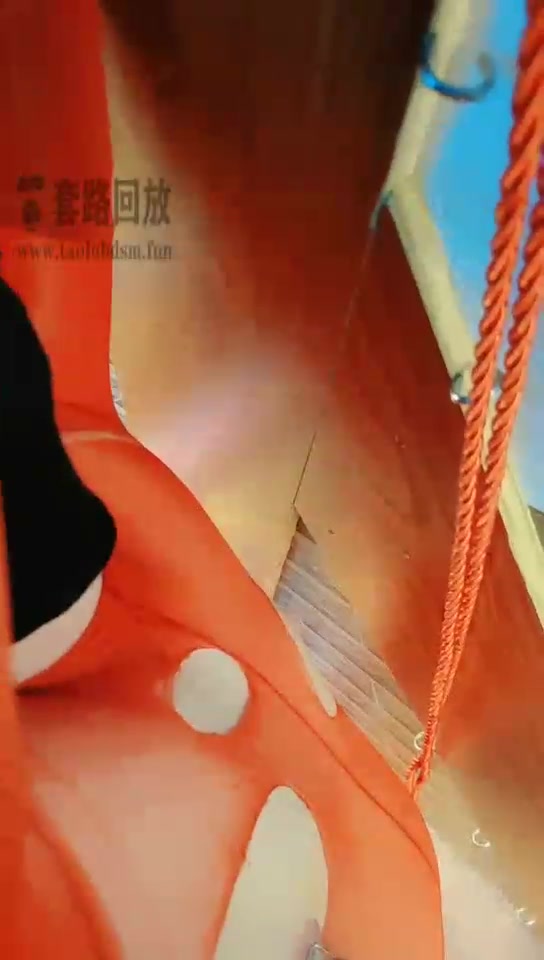 东营天香百合 虐乳鞭打
