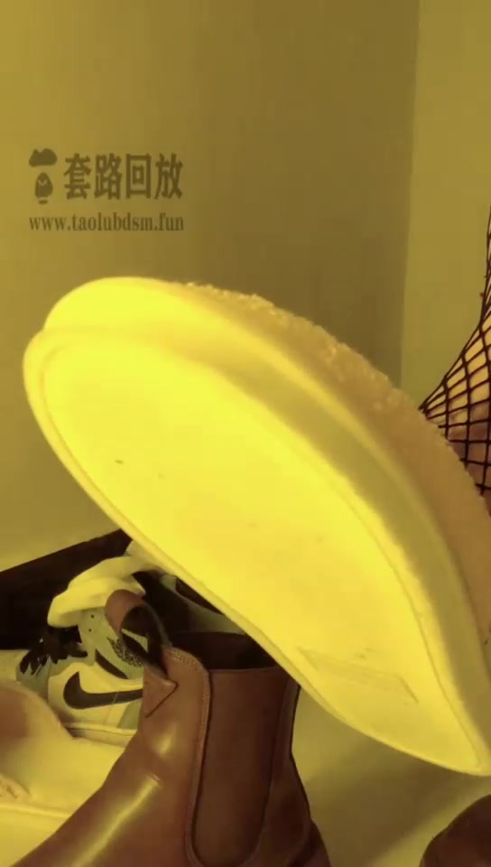 琪琪 挚爱狗专场