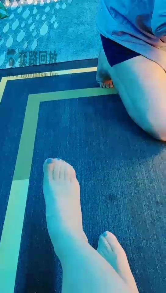 东营天香百合 SB玩物