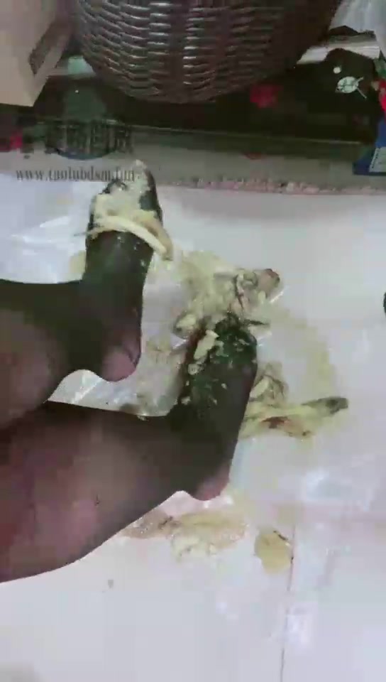 小劳拉 宿舍踢爆贱狗裆部banana