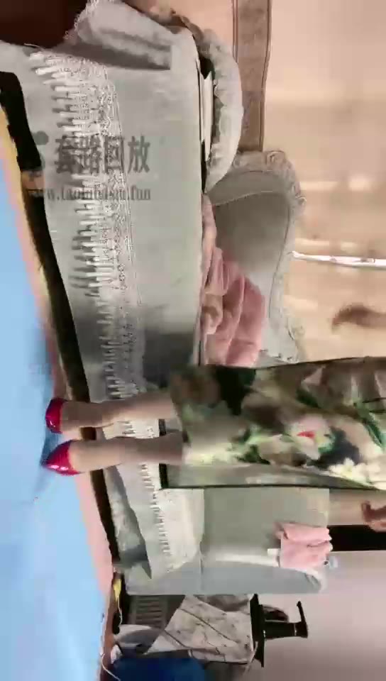 薇薇和胭脂泪痕M 姨奶奶家的小女奴