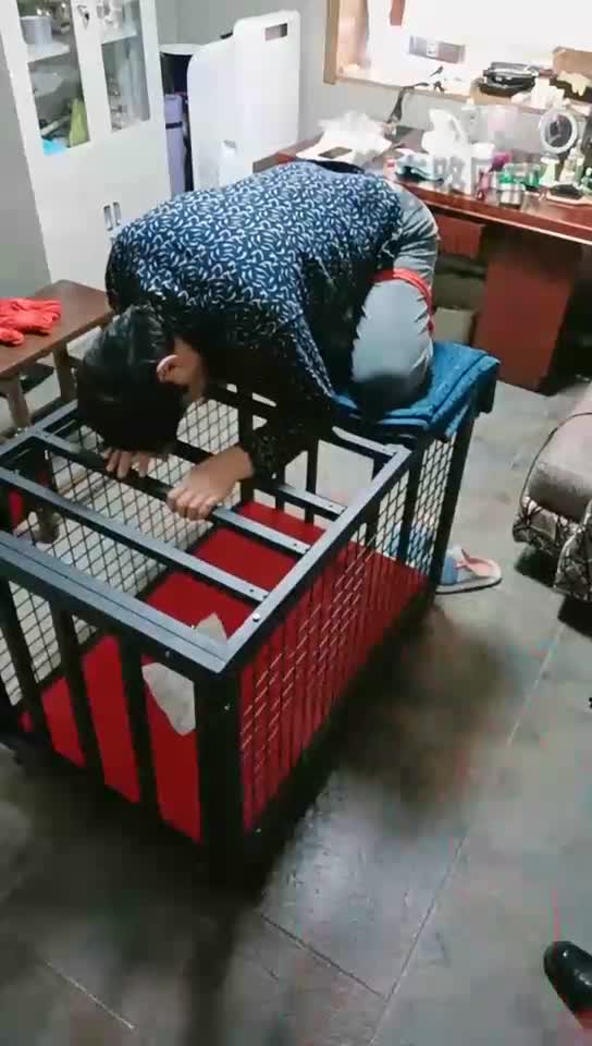 Training slaves, punishment on the dog cage