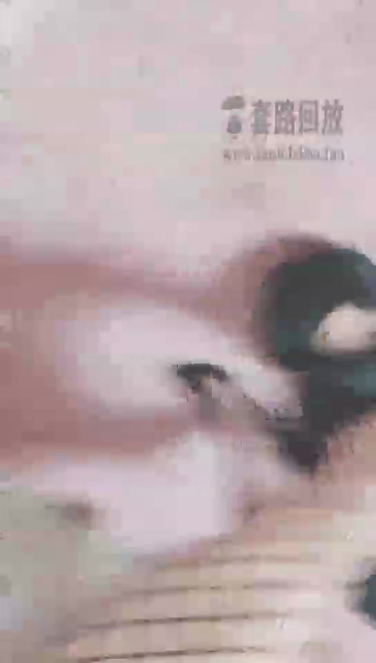 灵竹 网袜调狗