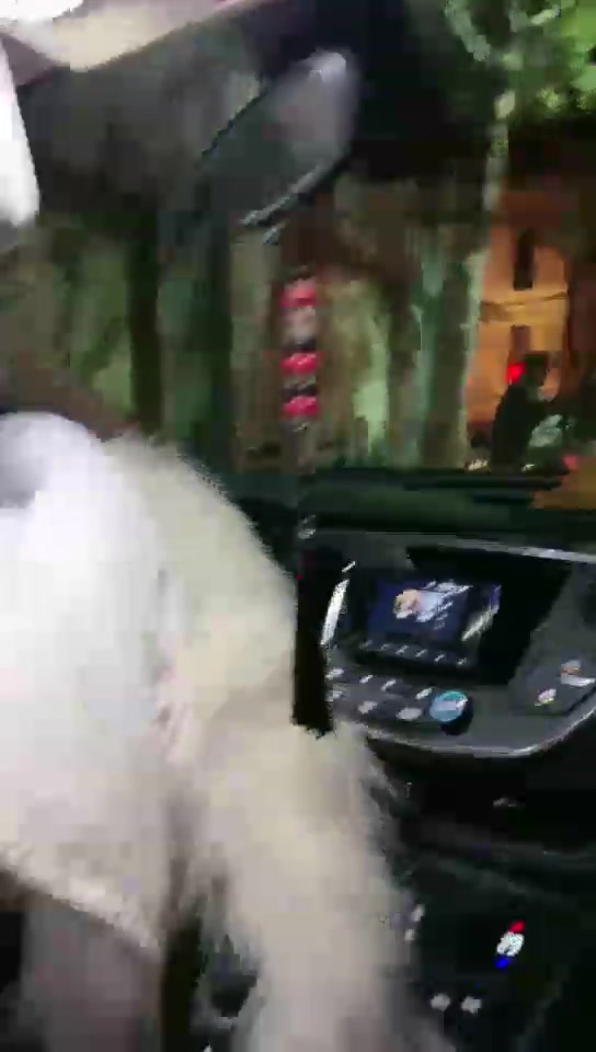 风吟女神 把滴滴司机变成狗