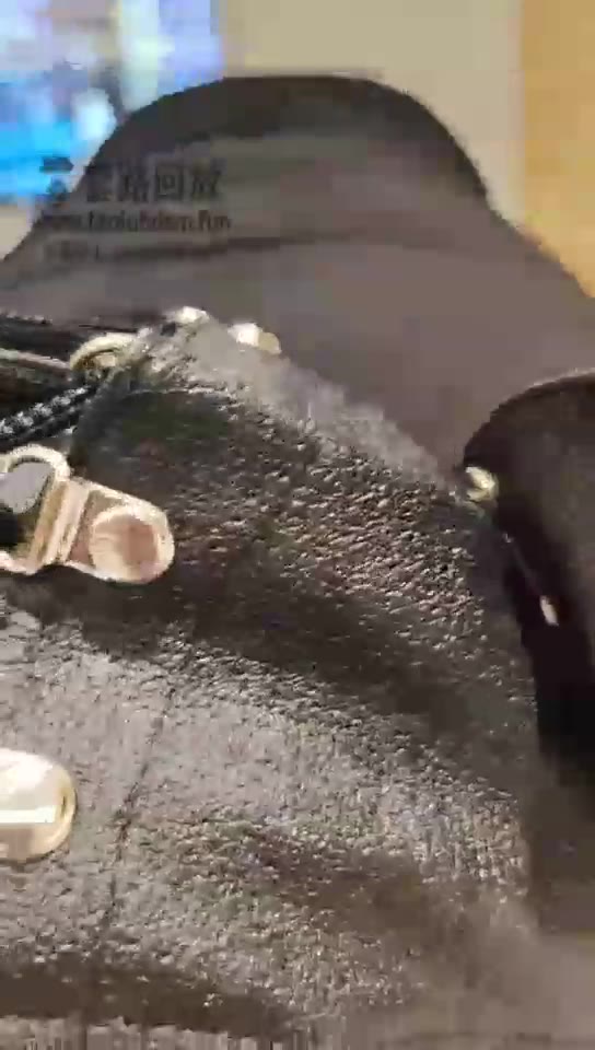 苏州果果 狗奴按摩 舌舔