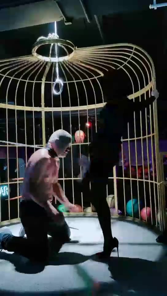 糖糖的小姨 酒吧双主调狗