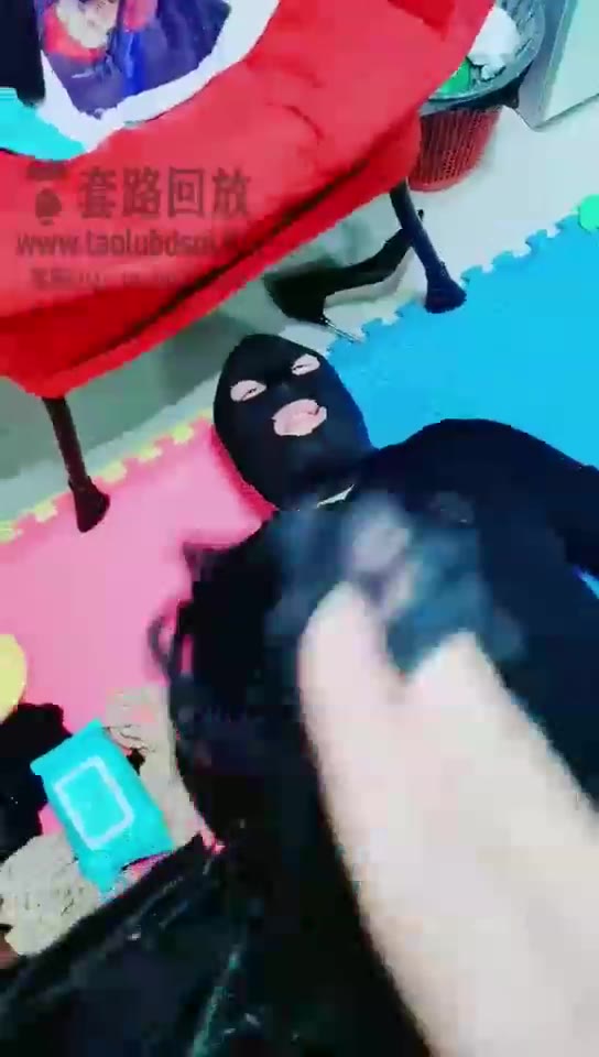 方圆 捡个狗回来开发