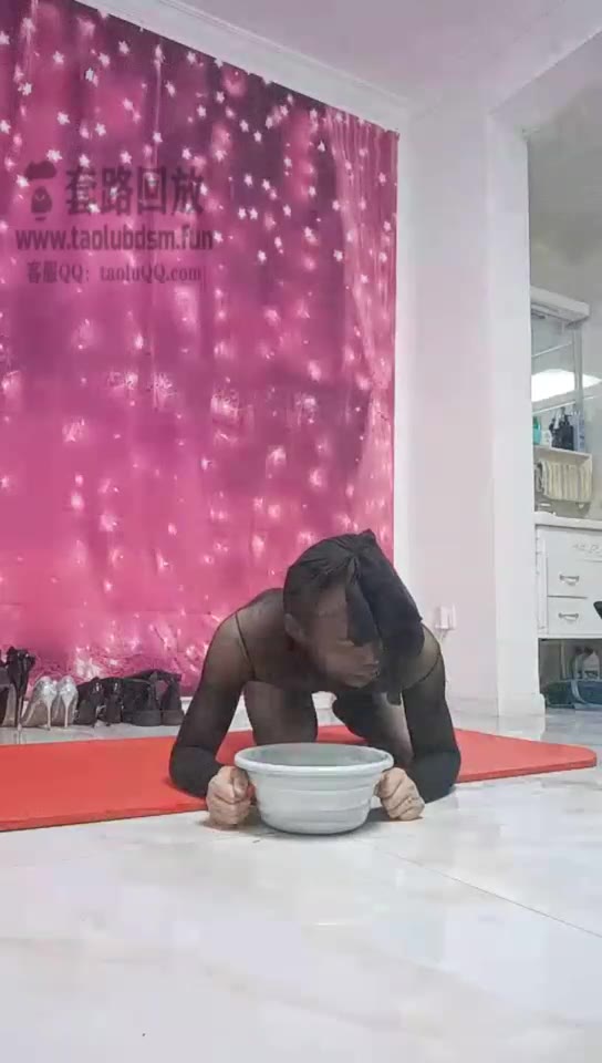 筱雅 小泰迪喝圣水