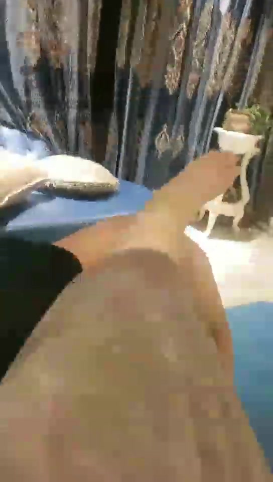 北京芯瑶 贱狗儿子闻舔原味全身 口舌 圣水