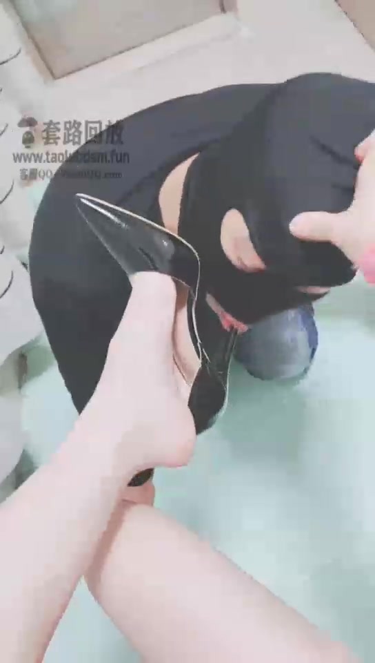 灵竹 日常玩狗