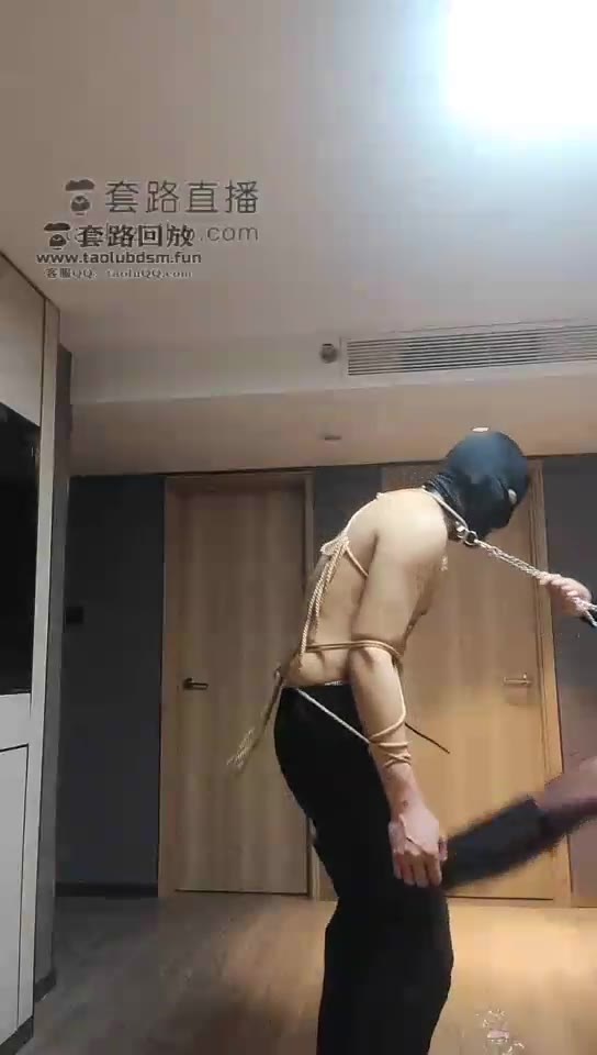 二宝 双S开发小奶狗 踢裆 深喉