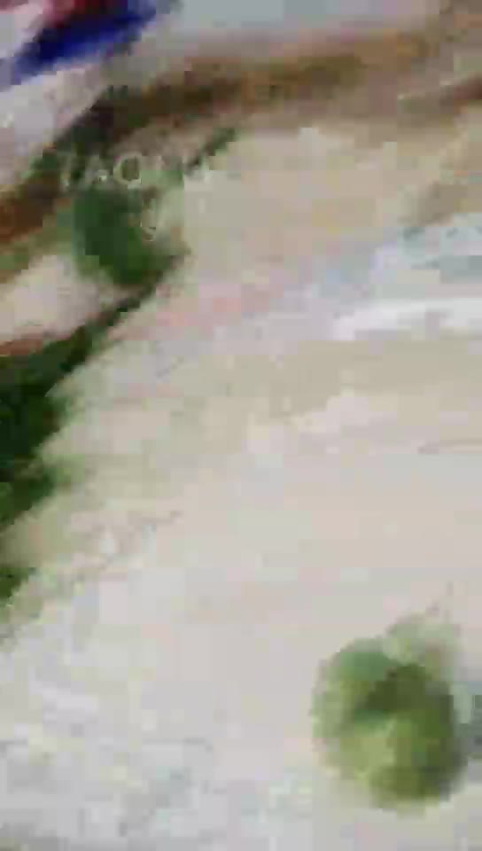 佛山佛果 调教素人