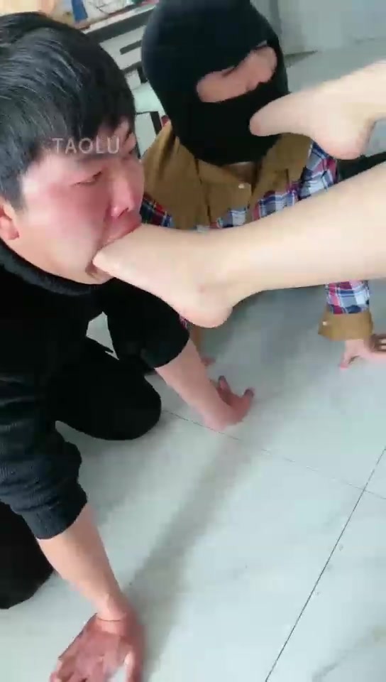 罗宾 老狗舔脚 小狗伺候