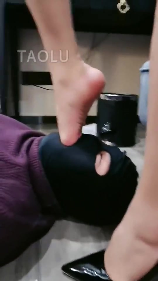 丹祖宗 双狗争宠
