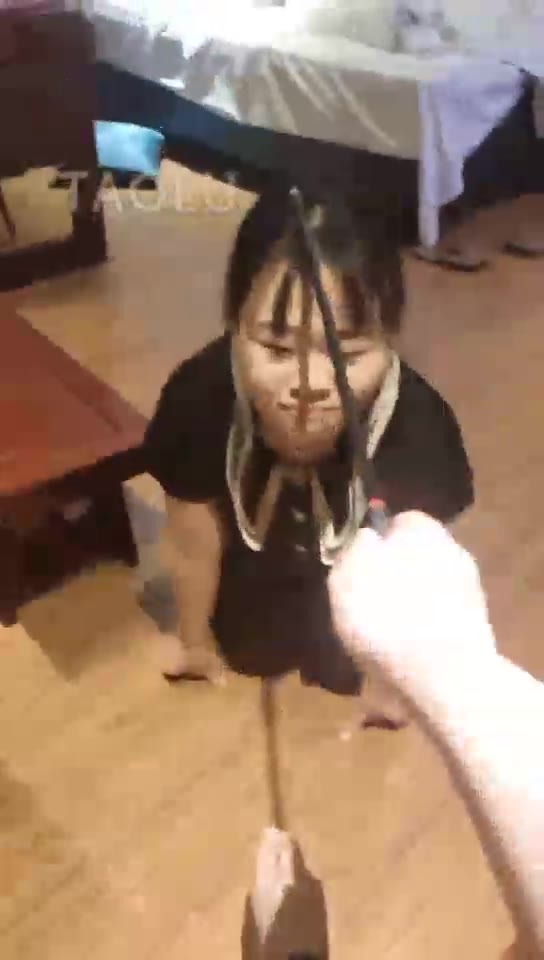 天津欲念 携小狗子给大家拜年