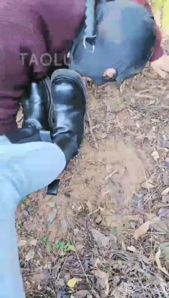 暴力美学 野外调教贱狗 路人围观 吃土踩手踩头