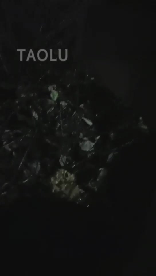 心理学 醉酒素人女同事户外翻车