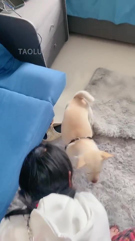 蜜儿 开发调皮的闺蜜 舔脚