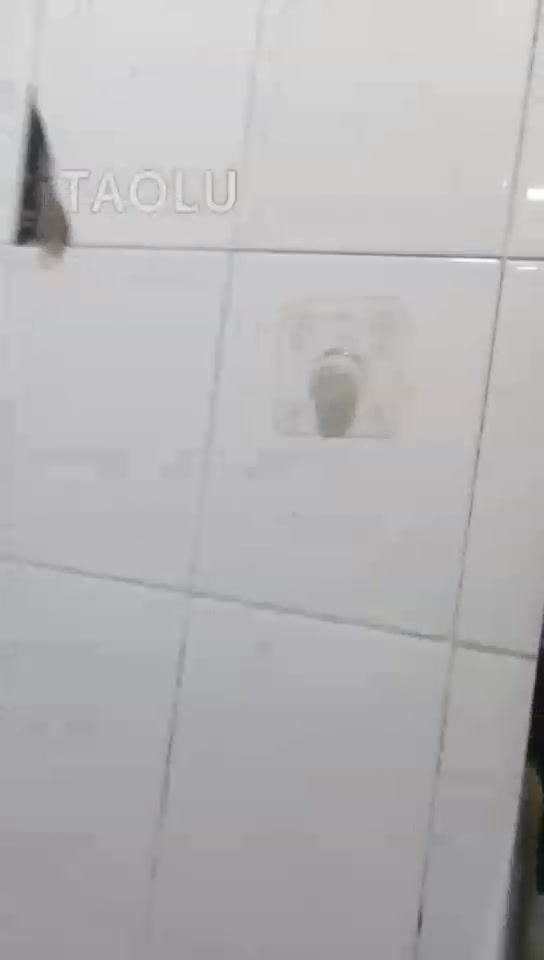 大连娜神 给吃完屎的狗冲澡