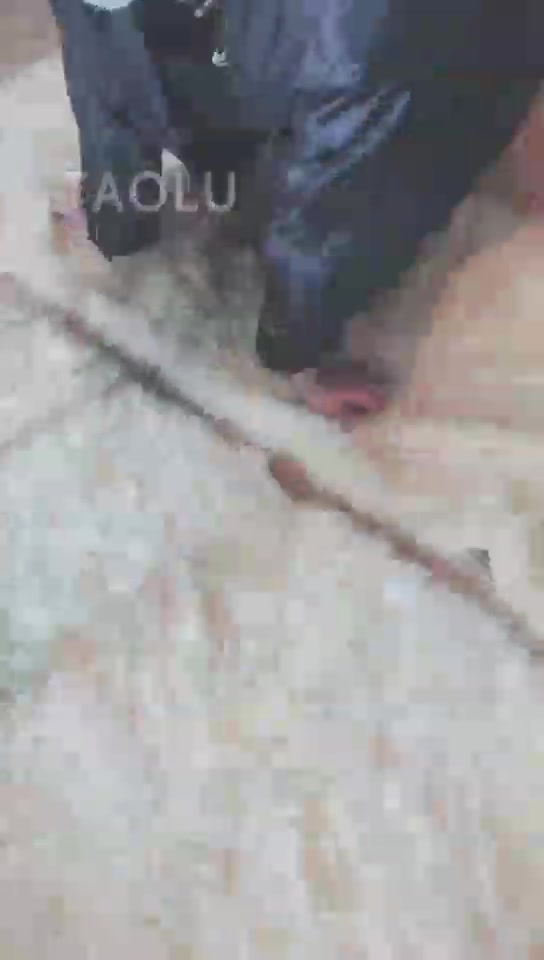 巴莉女王 高跟鞋喂食 呕吐剩菜剩饭