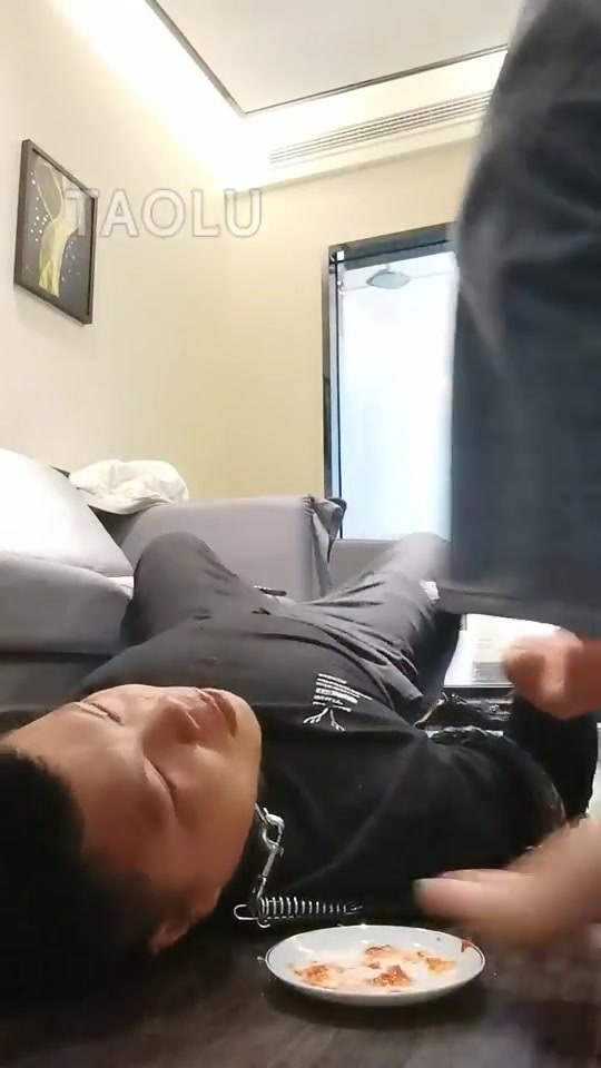 泽安安大大 贱狗再次来袭