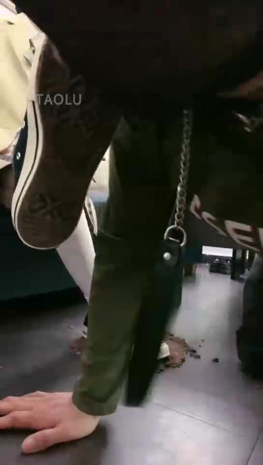 暴力美学 狗奴日常训练