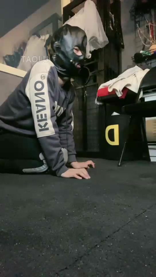 西柚 贱狗晚上发骚 一