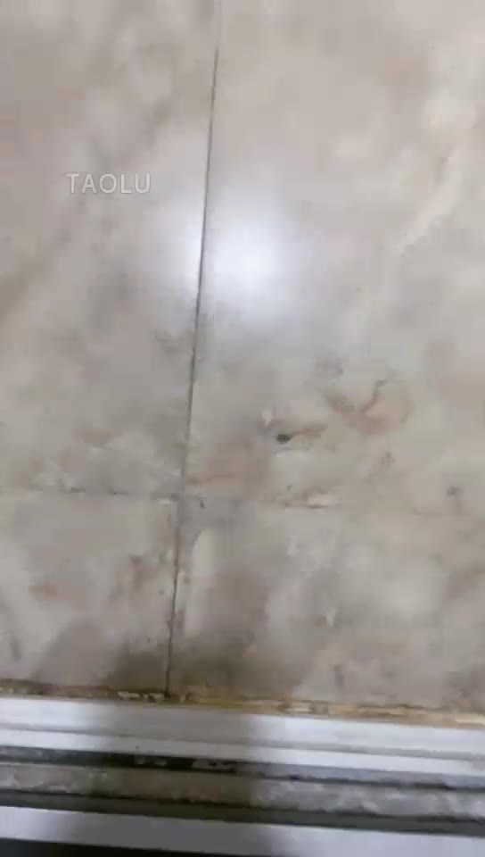 逗逗 狗的舌头就是我打鞋油的工具