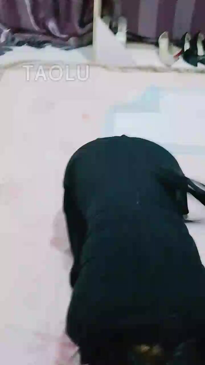 上官 母狗进食 舔脚