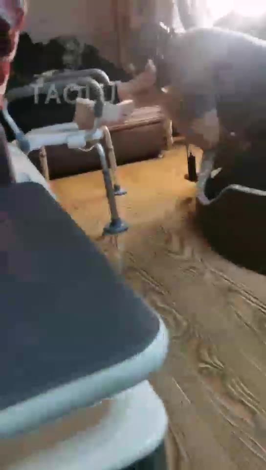 呆呆的小羊 情侣调教壮汉狗奴