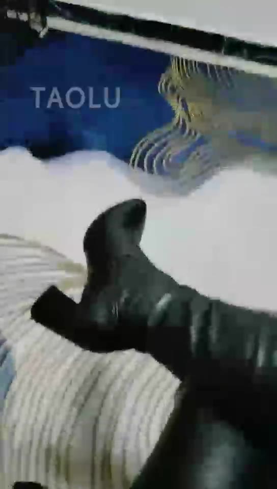 魔鬼天使女王 赏赐贱狗圣水