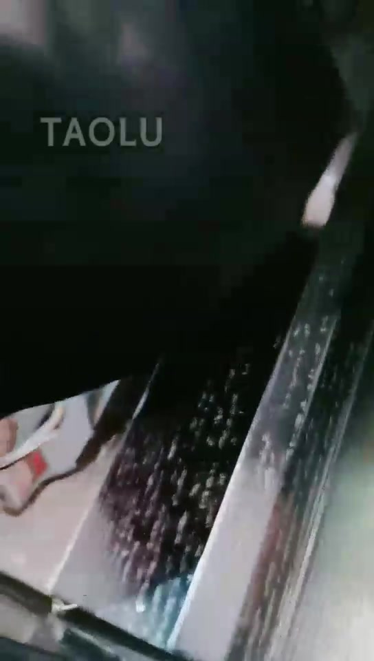 猫神大人 调教 与贱狗玩儿转盘
