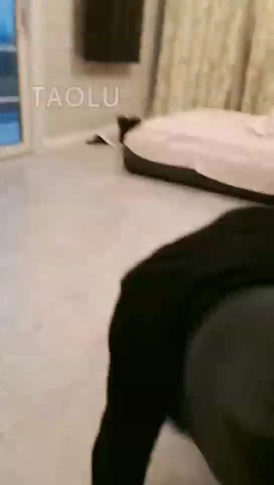 黛黛 心情不好 圣水喂猫粮 训狗
