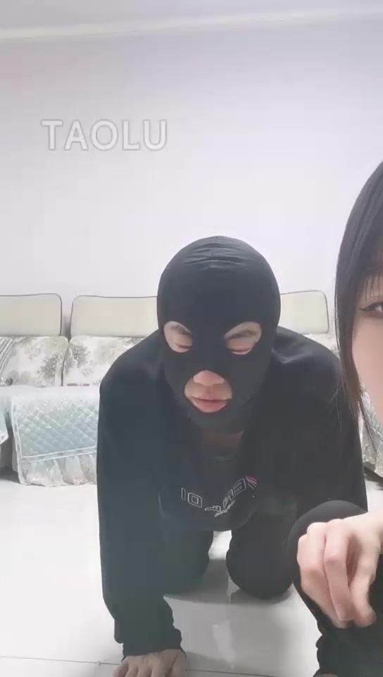 文文小祖宗 看老狗唱反调的下场