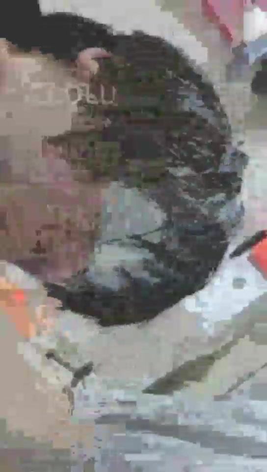 染蝶大人 用脚喂狗狗吃水果