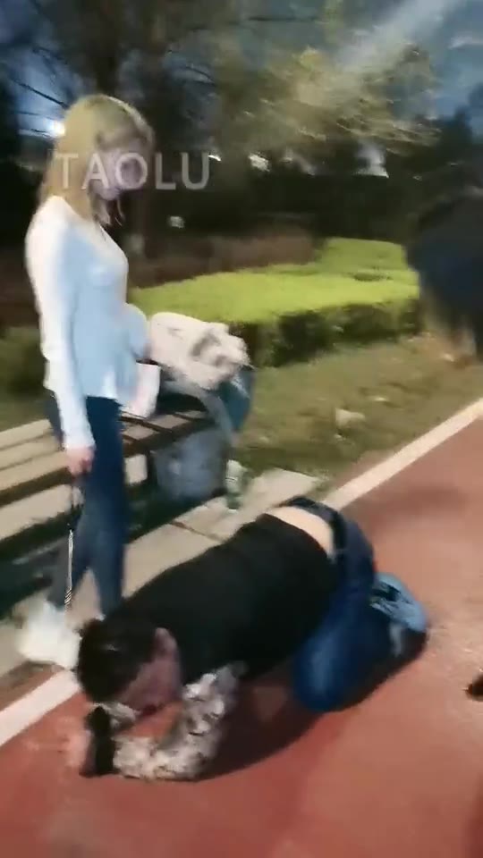 紫烟 双S户外玩狗