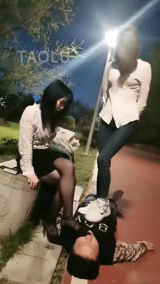 紫烟 双S户外玩狗