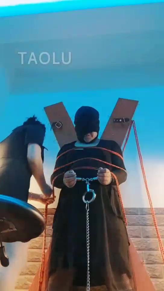 东营天香百合 贱狗来了